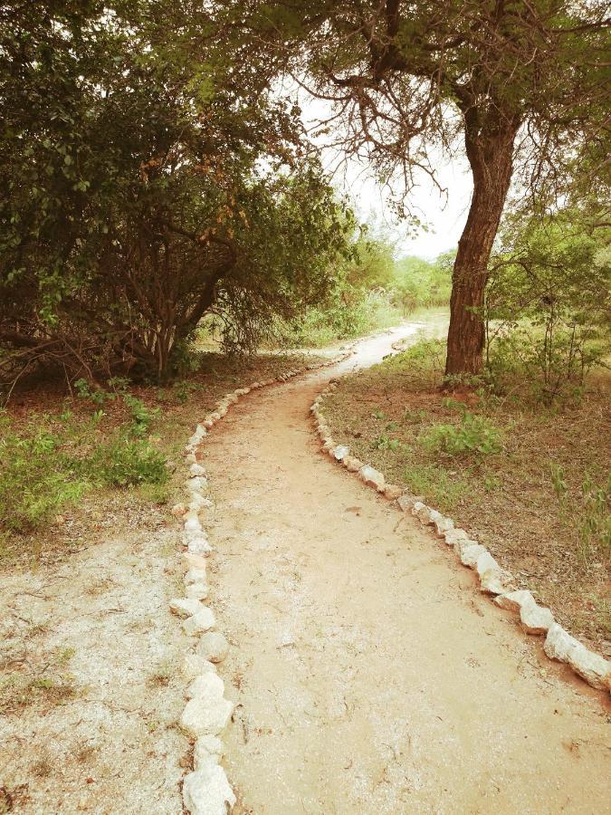 מלון הודספרויט Kelora Bush Camp מראה חיצוני תמונה