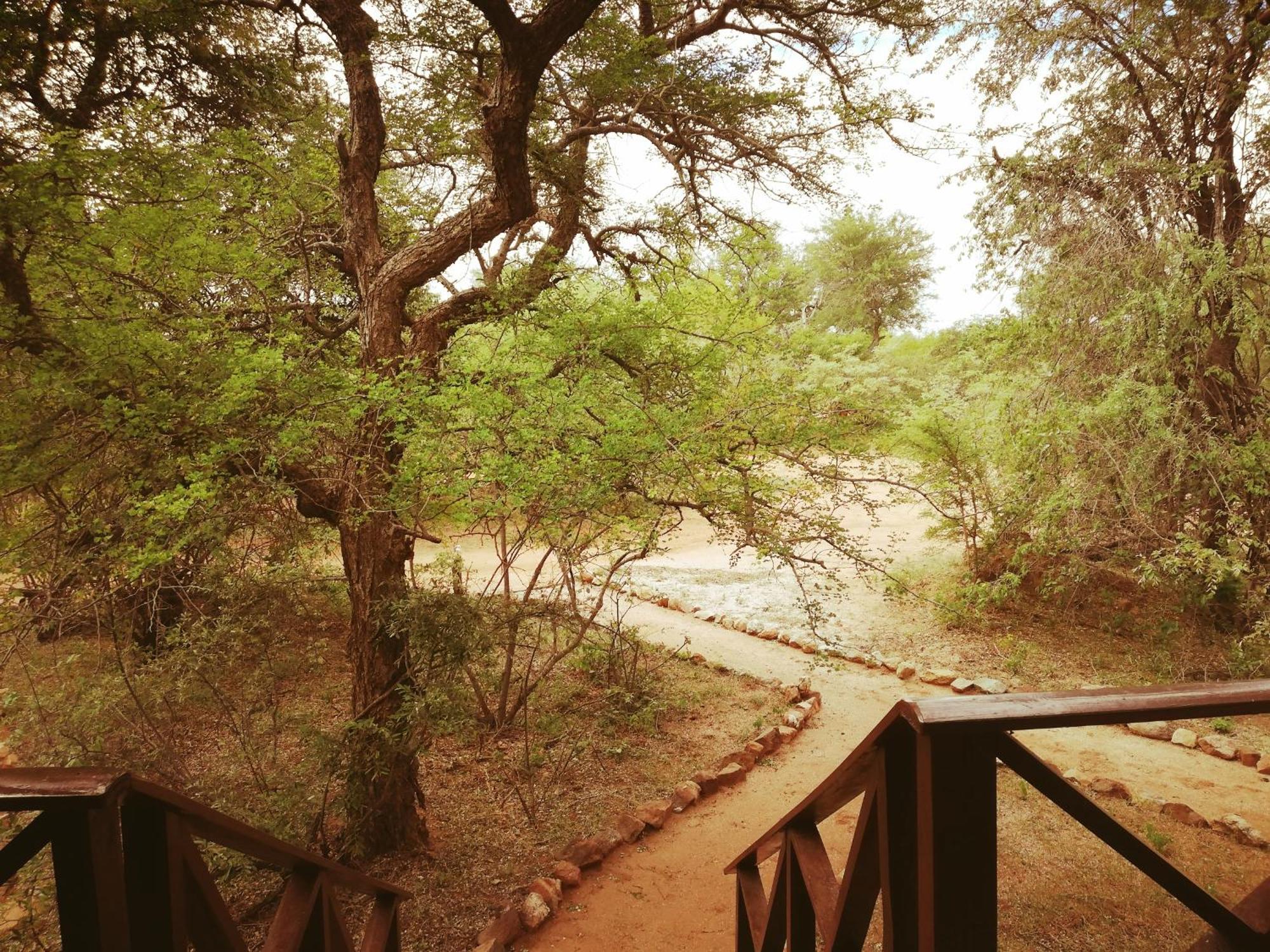 מלון הודספרויט Kelora Bush Camp חדר תמונה